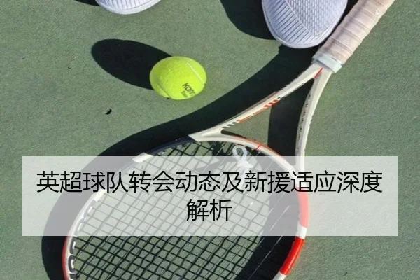 英超球队转会动态及新援适应深度解析